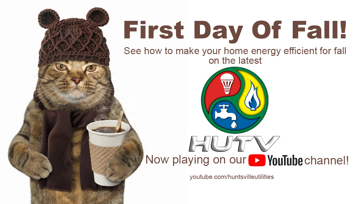 Cat wearing sock cap and scarf. First day of fall! See how to make your home energy efficient for fall on the latest HUTV, now playing on our YouTube channel (youtube.com/huntsvilleutilities)